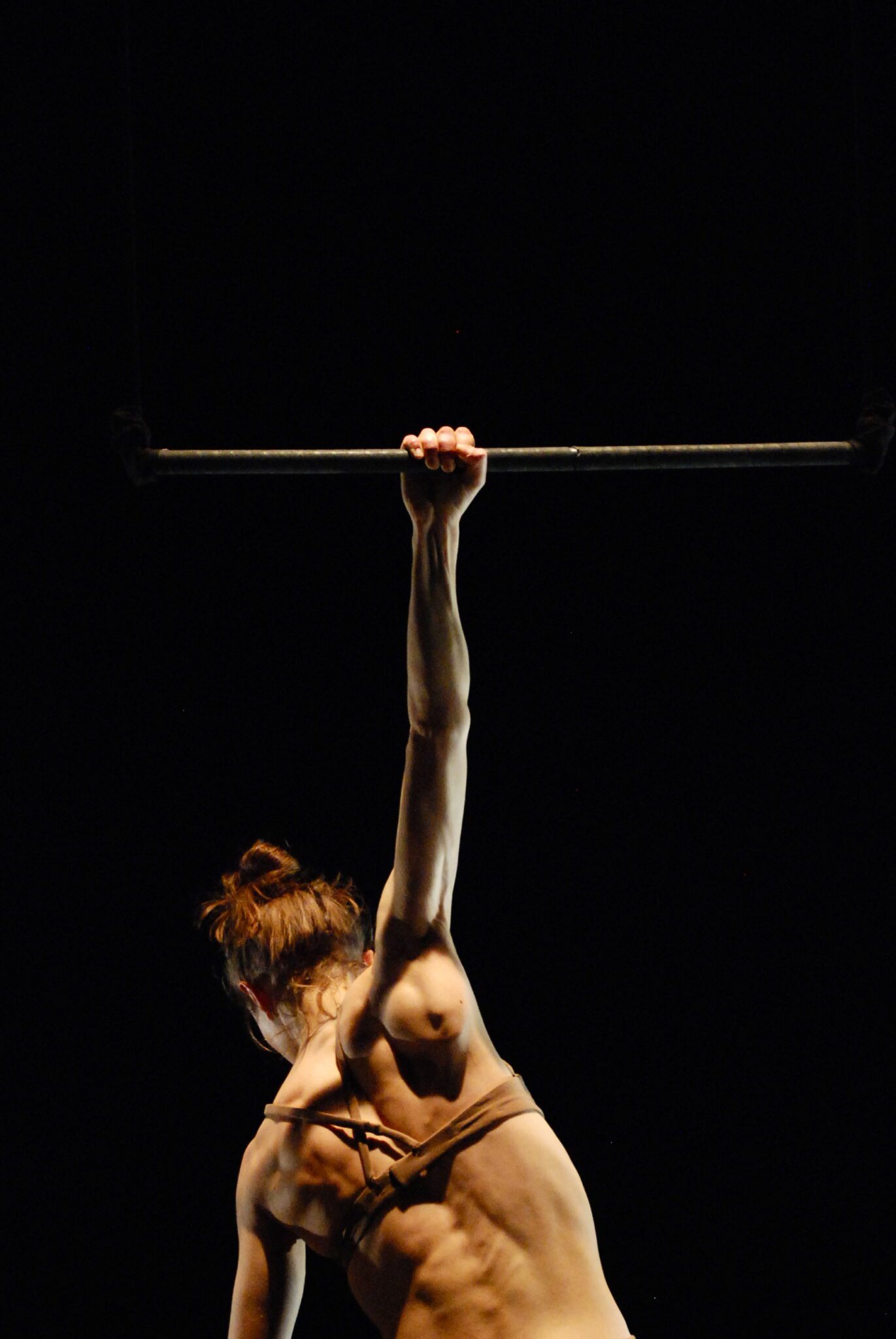 Opus Corpus © Leo Scomorovschi