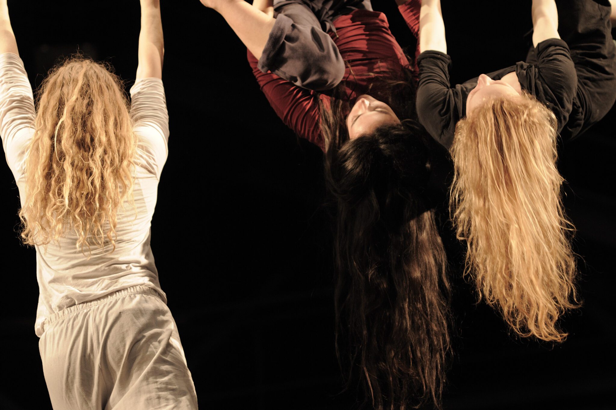 Ose © Jean Christophe Bordier