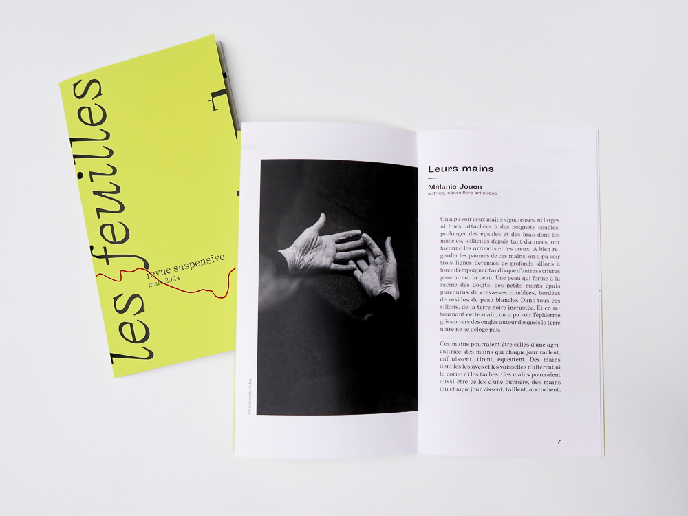 © Florence Boudet - les feuilles 1