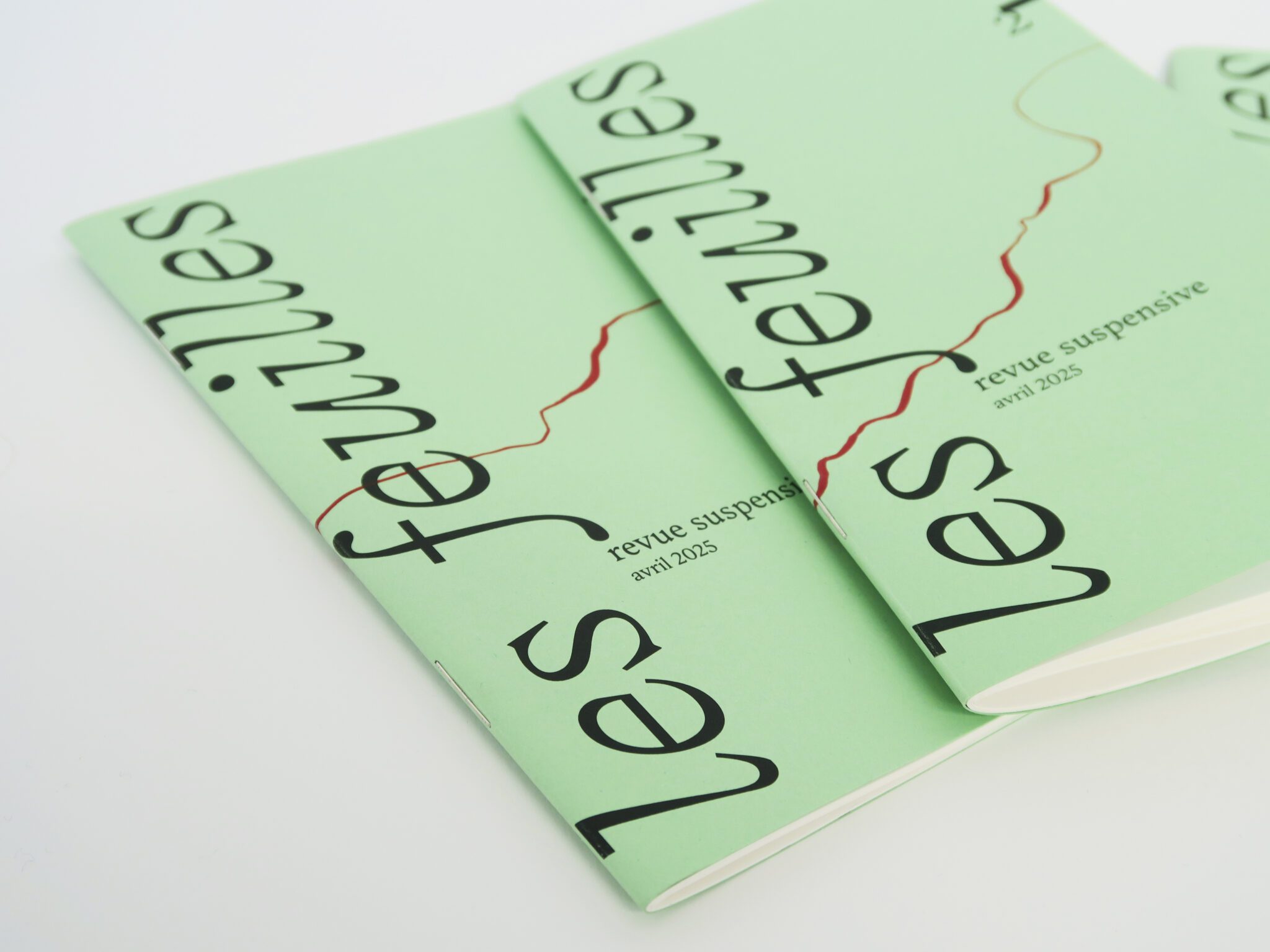 © Florence Boudet - Les feuilles 2