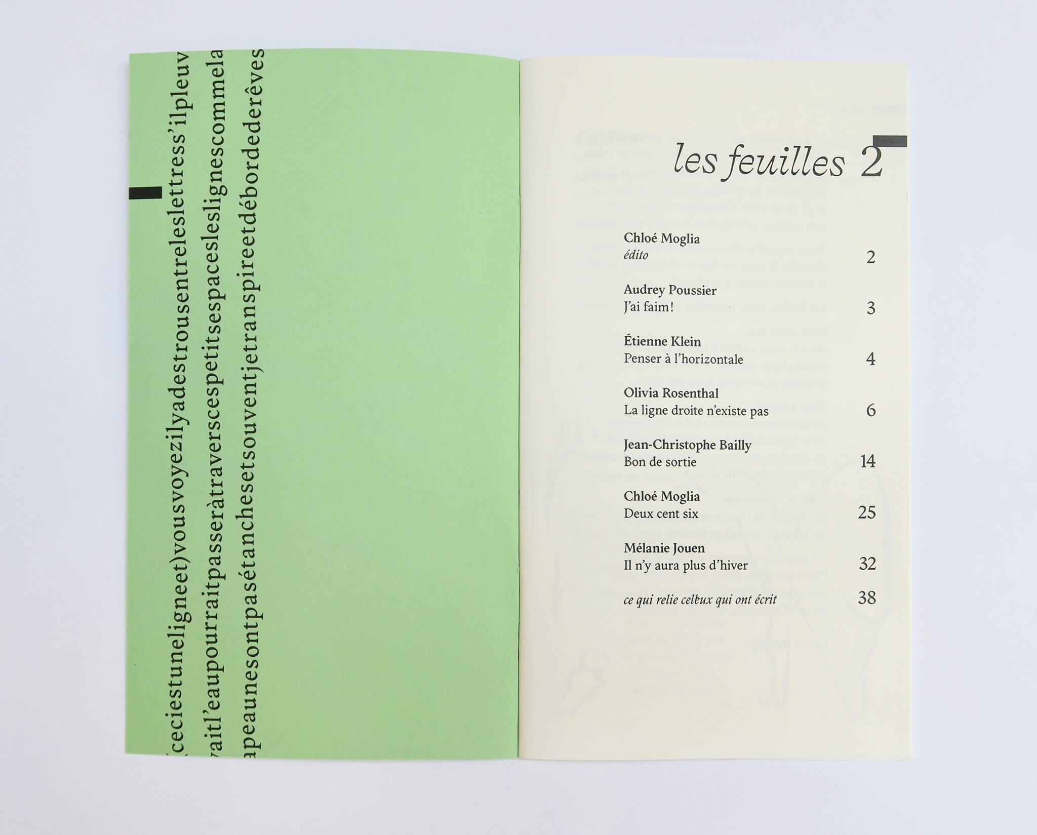 © Florence Boudet - Les feuilles 2