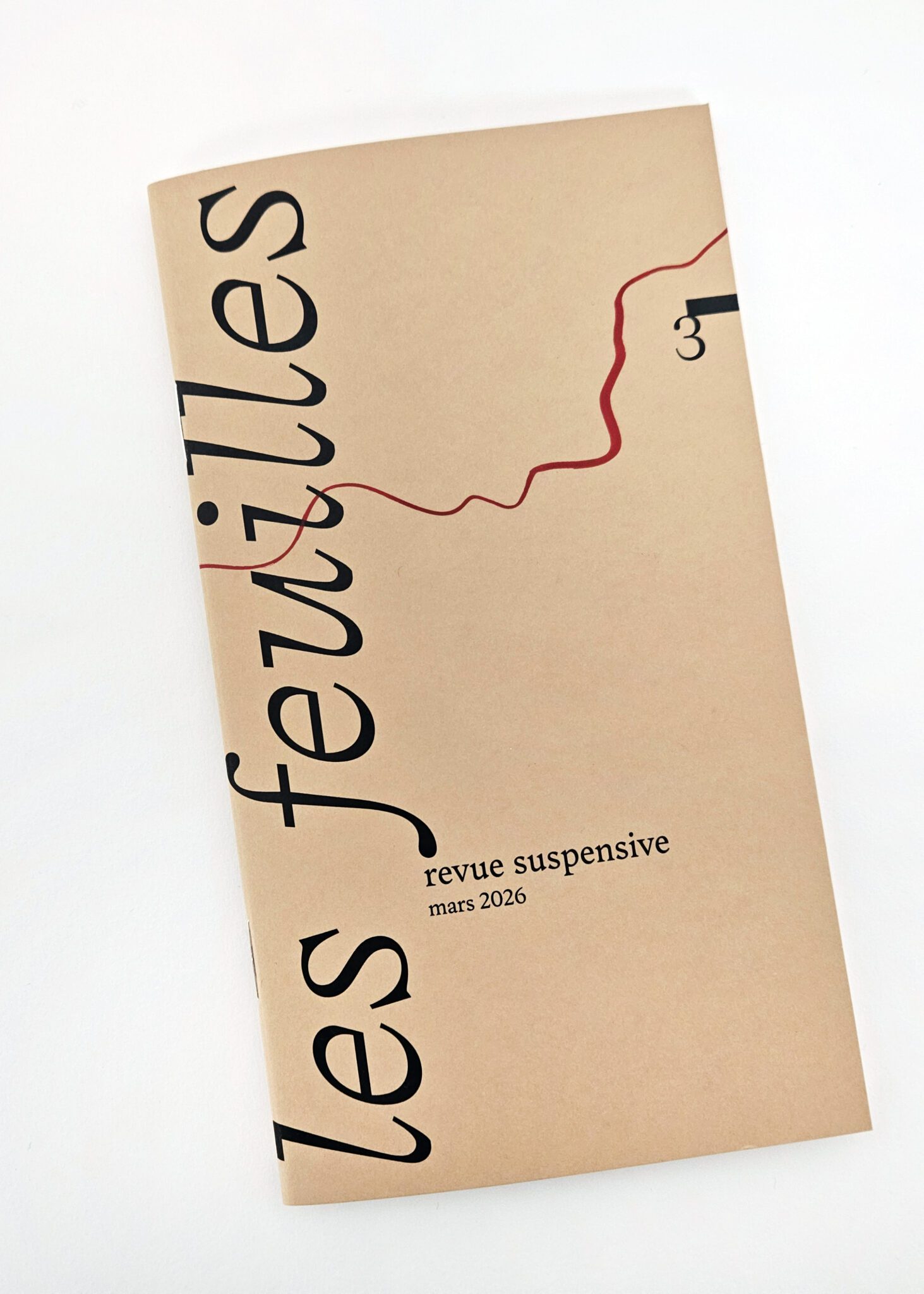 © Florence Boudet - les feuilles 3