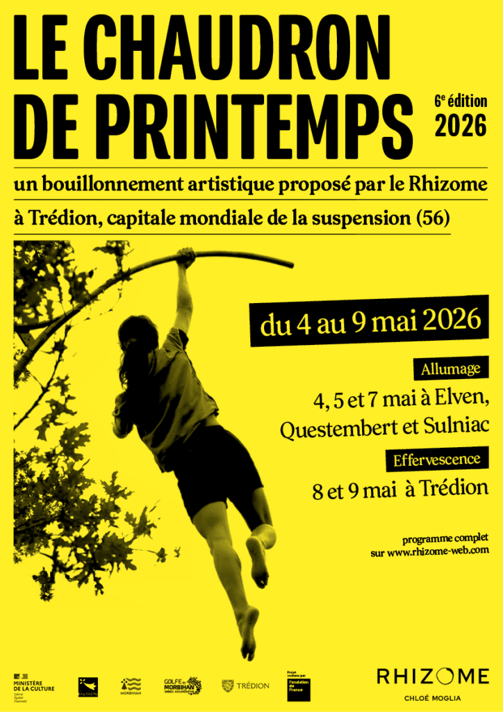 AFFICHE CHAUDRON GENE WEB